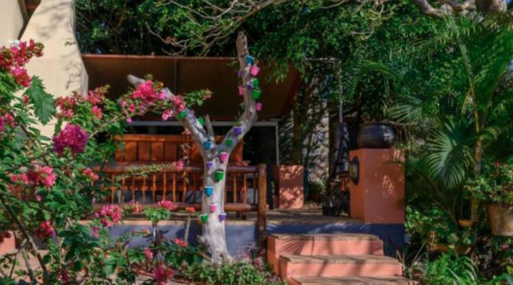 Elephant Coast Guesthouse St Lucia