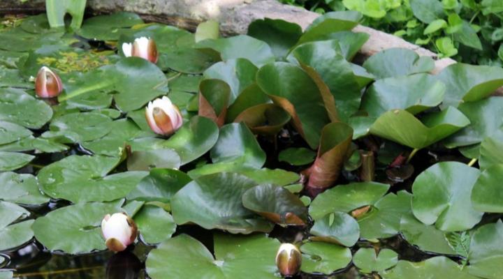 Bun Clody Guest House