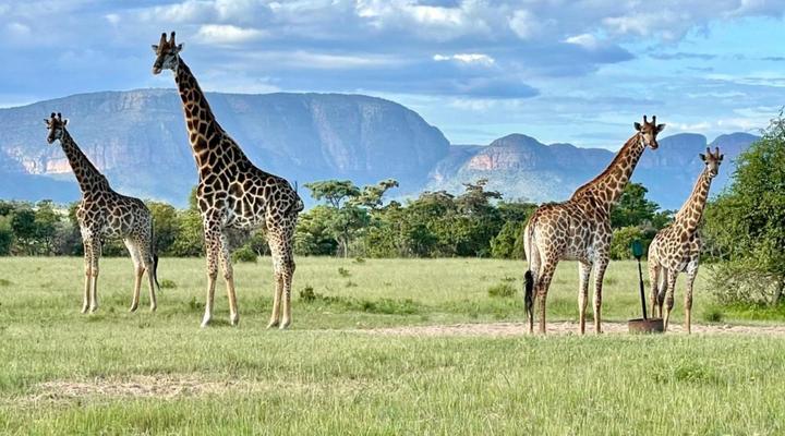 Vilagama Private Game Lodge