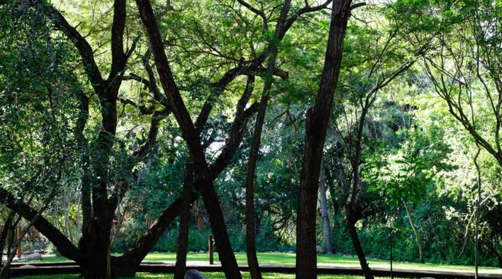 The Island River Lodge