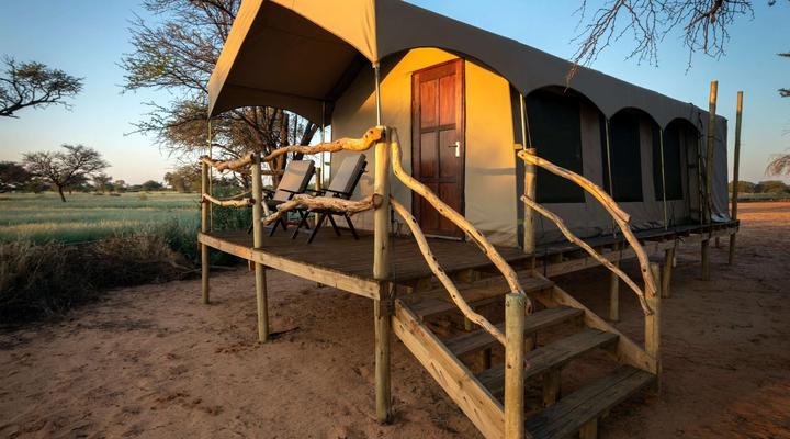 Working with Wildlife