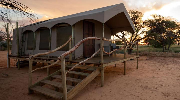 Working with Wildlife