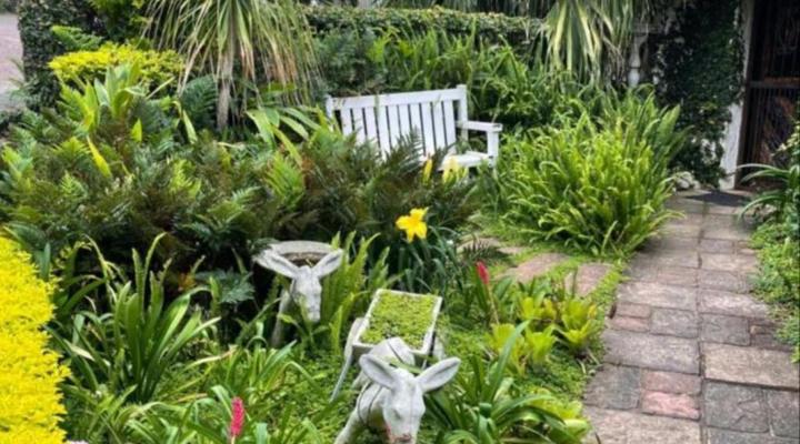 Gracelands Beach Lodge