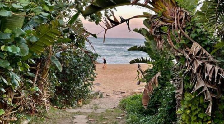 Gracelands Beach Lodge