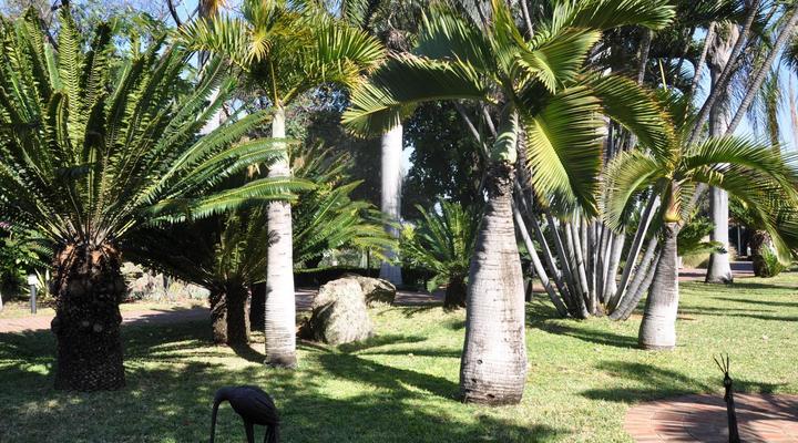 Loerie Lodge Phalaborwa