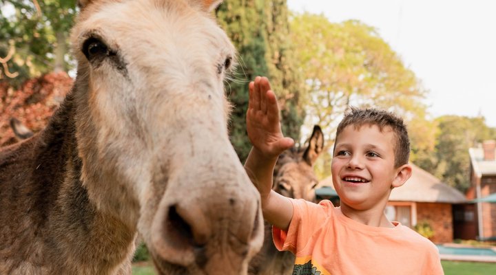Jameson Country Cottages