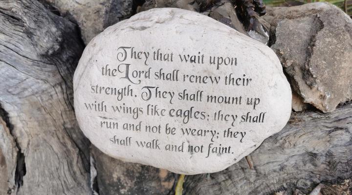 Tipperary Game Lodge