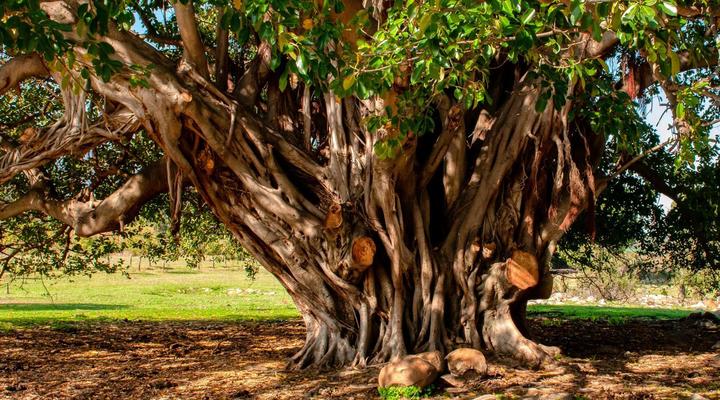 Welbedacht Game & Nature Reserve