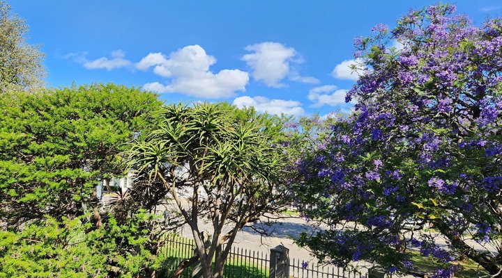 1A St Aidans Guest Cottage