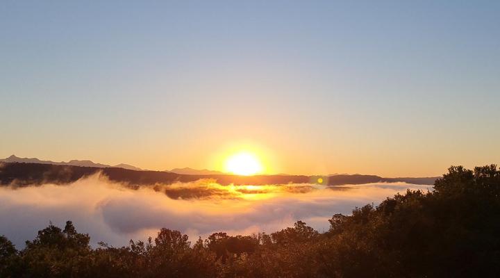 Mizumi Forest Estate