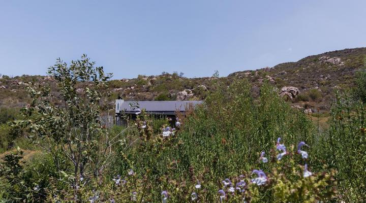 Cederkloof Botanical Retreat