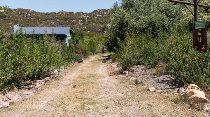 Cederkloof Botanical Retreat