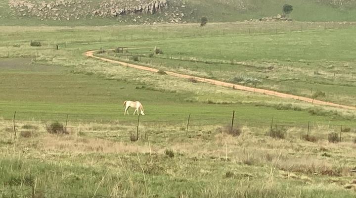 Mountain View Cottage