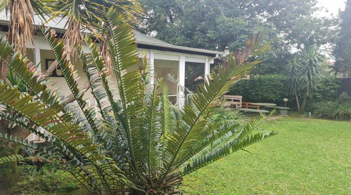 Alexandra Bed & Breakfast