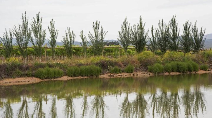 Esperance Farmstay - Manor House