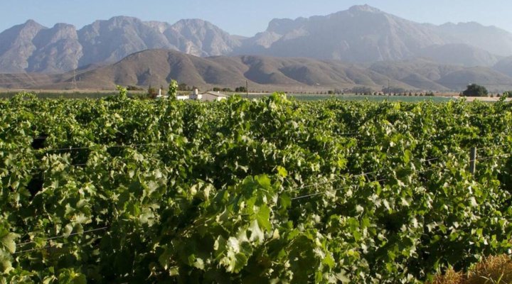 Esperance Farmstay - Manor House