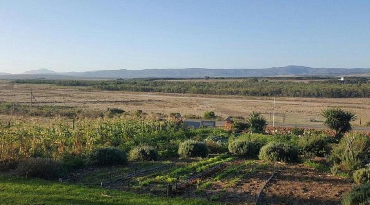 Black Oystercatcher Cottages