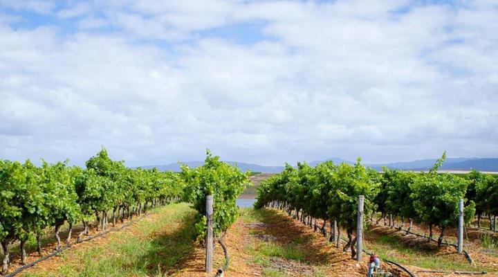 Black Oystercatcher Cottages