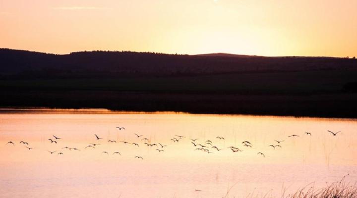Black Oystercatcher Cottages