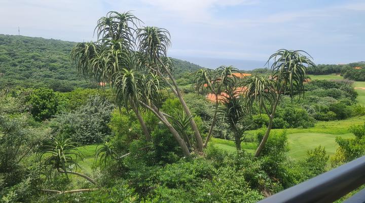 Zimbali 28 Club Drive