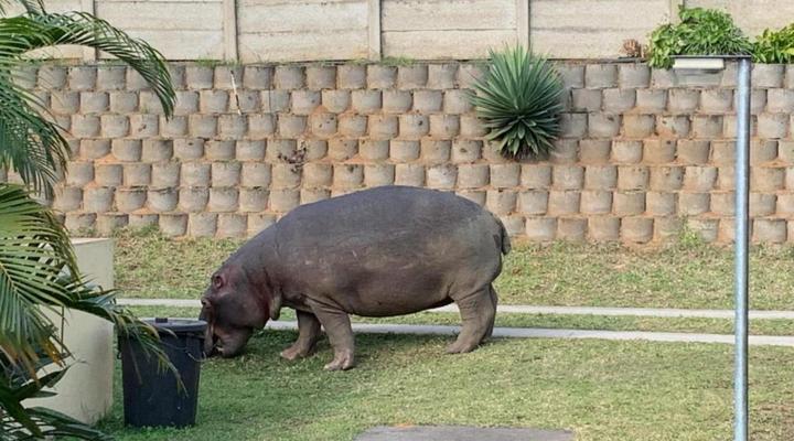 Manzini Chalet No 34