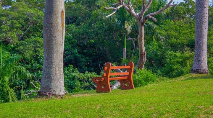 Manzini Chalet No 34