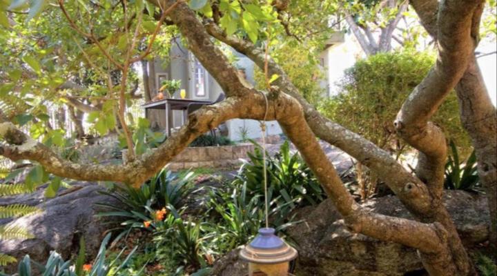 Loerie's Call Guesthouse