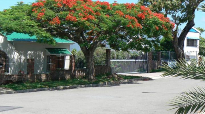 Aloha Bed & Breakfast / Self-catering