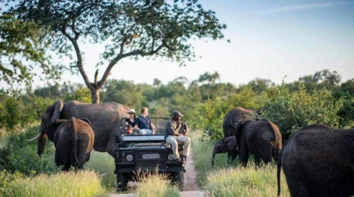 Simbavati River Lodge