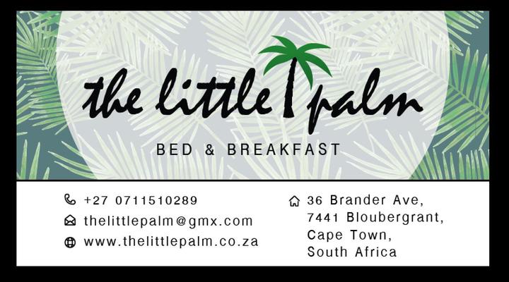 The Little Palm