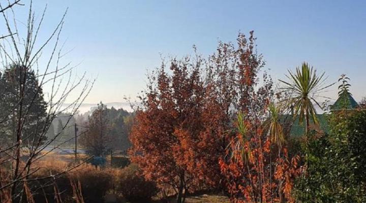 DullVino House Dullstroom