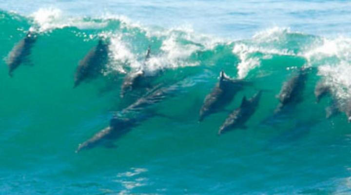 Umdloti - Escape to Casa Branca