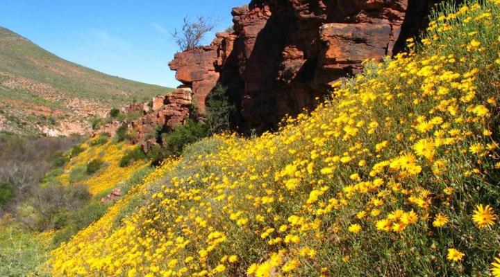 Naries Namakwa Retreat - Namakwaland