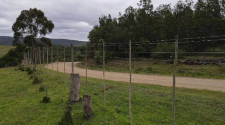 Keurbooms River Game Trails