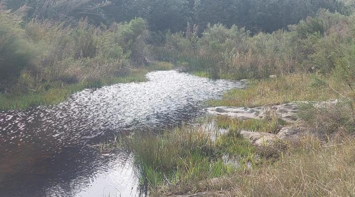 Keurbooms River Game Trails