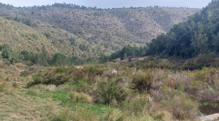 Keurbooms River Game Trails