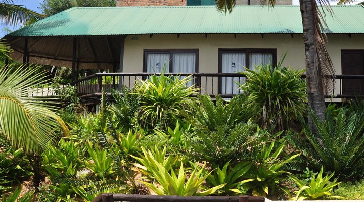 Barra Palms