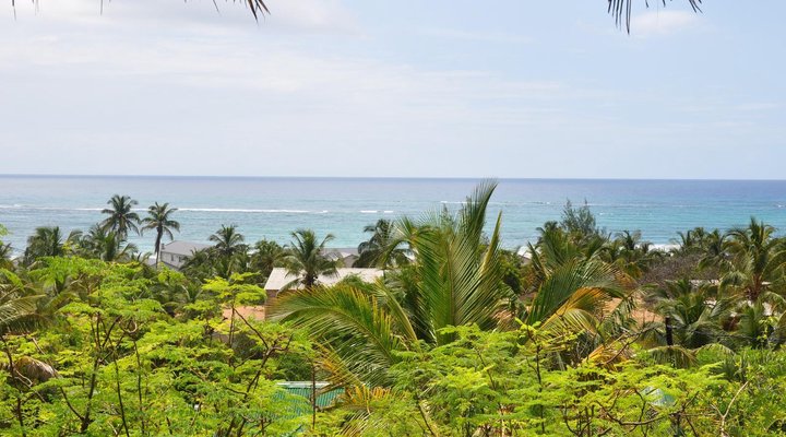Barra Palms