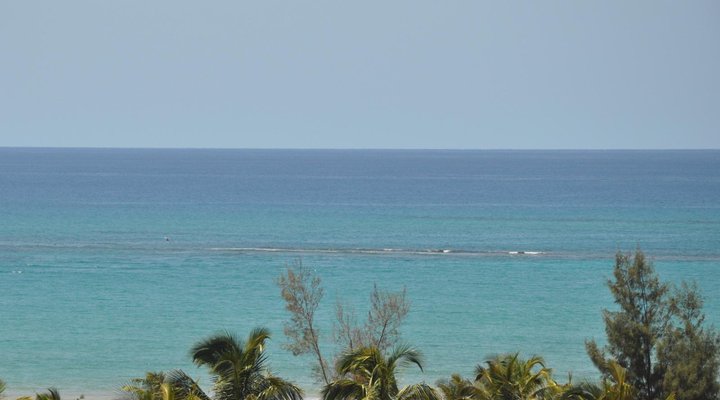 Barra Palms