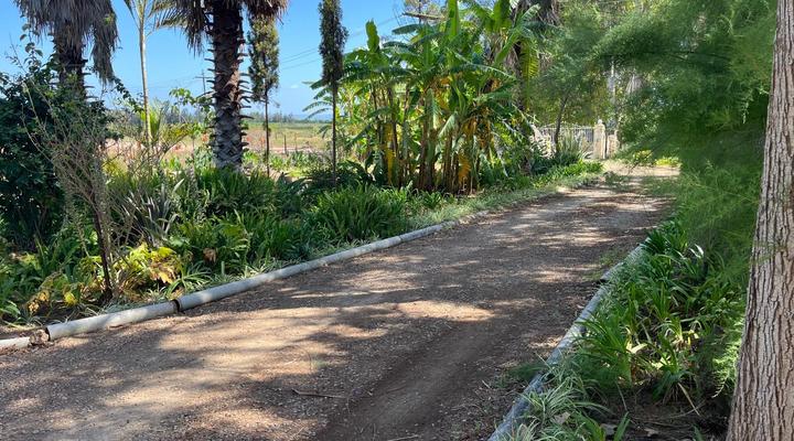 Homestead Bed & Breakfast