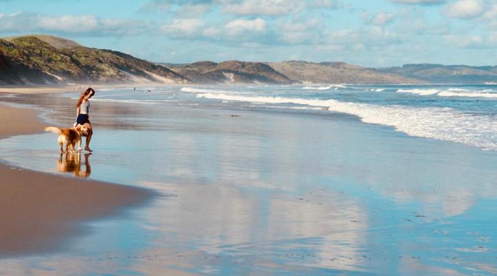 Purple Haze Eco Lodge