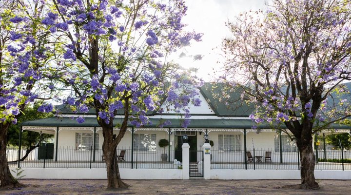 Victorian Square Guesthouse