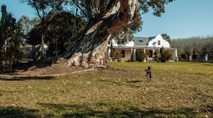 Bloemendal Wine Estate