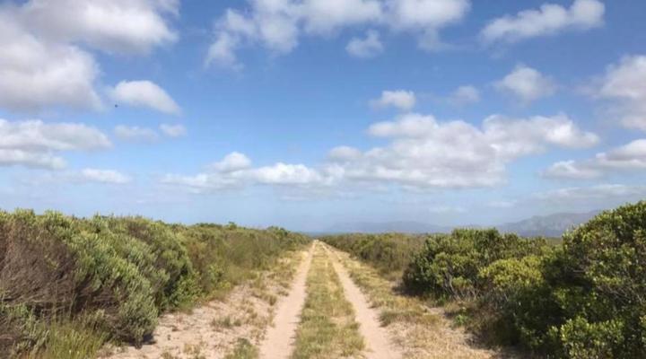 Fairhill Nature Reserve