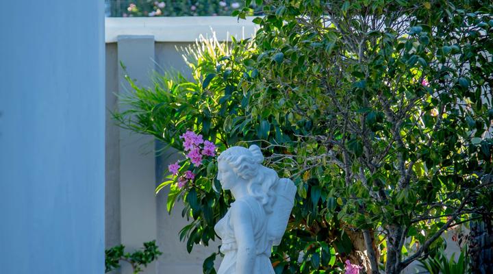 Senate Boutique Guesthouse