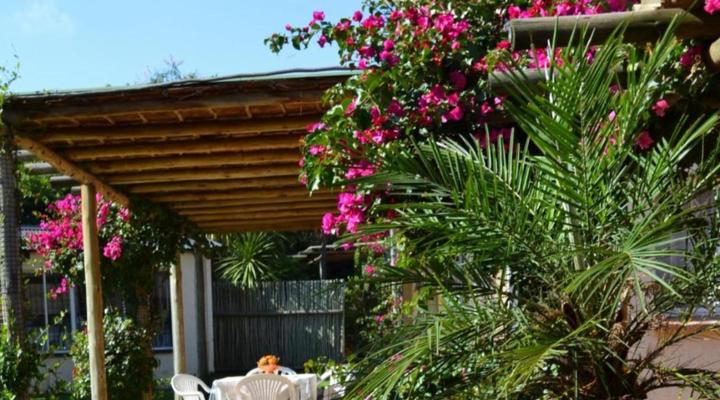 Doves Nest Guest House @ OR Tambo International Airport