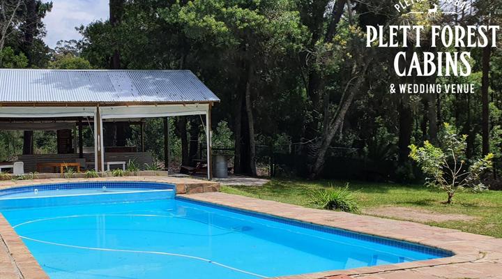 Plett Forest Cabins
