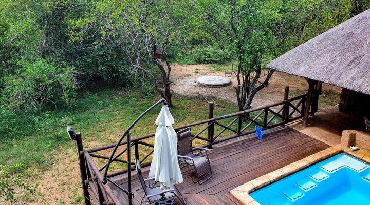 Adventure Bush House