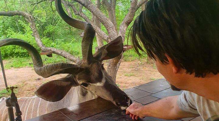 Adventure Bush House