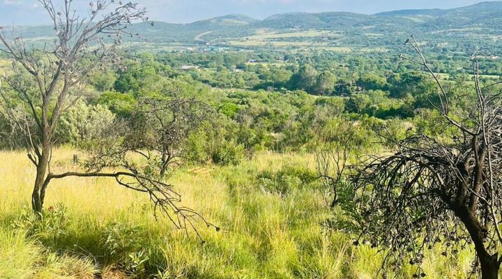 Rocky Road Mountain Lodge